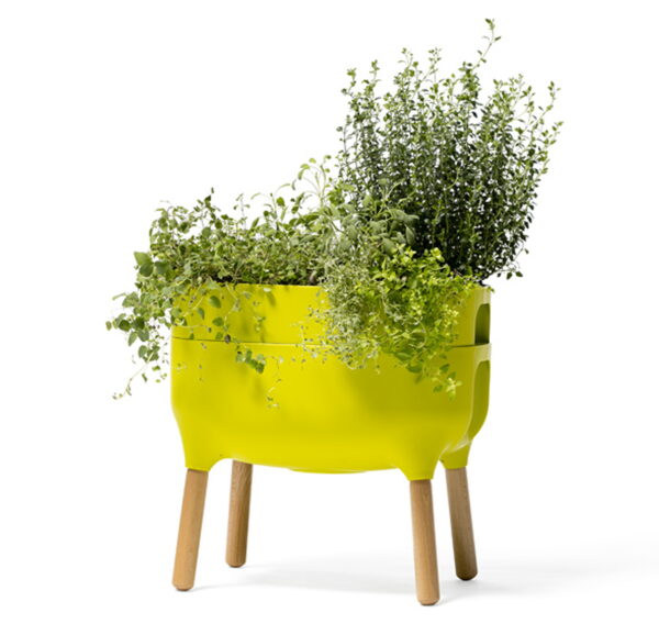 urbalive self watering planter green with plant