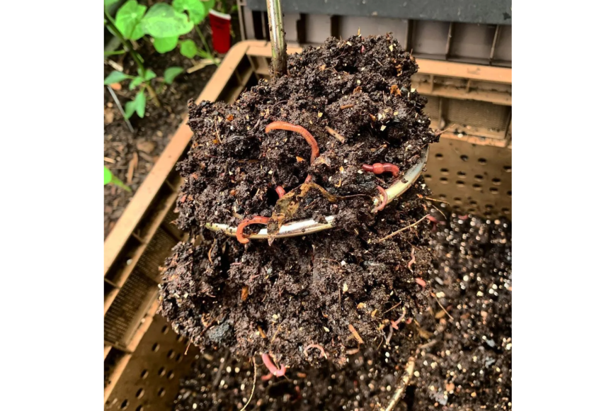 Subpod Compost Aerator